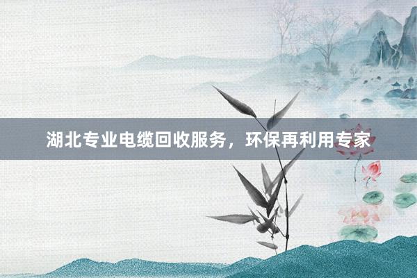 湖北专业电缆回收服务，环保再利用专家